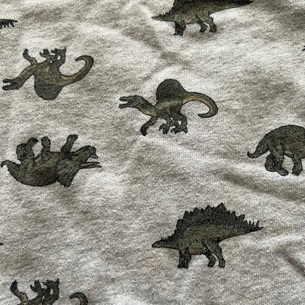 Carter’s boys kids toddlers‎ size 4T dinosaur sweatshirt fall casual activewear